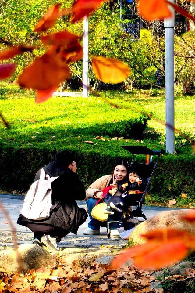 小雪｜冬意初临时，风物成画，岁月如诗