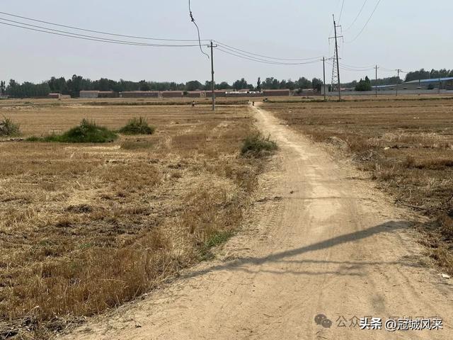 冠县乡韵·柳林镇三里屯村