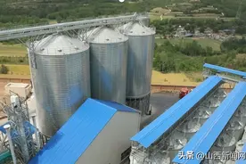 18万吨产能新引擎！垣曲温氏饲料厂筑牢生猪产业“粮”根基图片