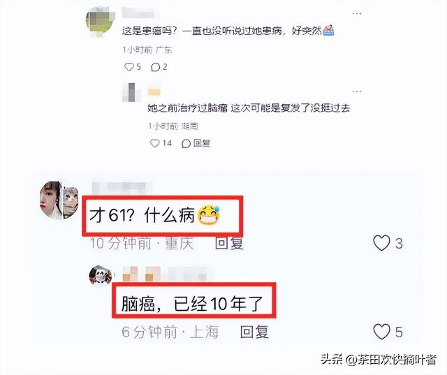 一代美人何晴离世享年61岁！六小龄童发文悼念，去世原因疑曝光