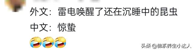 笑不活了！中文堪称无敌“语言压缩包”，网友：这就是语言的魅力
