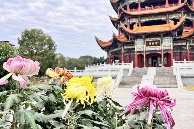 跟着川超游广元 | 致阿绵：赏秋正当时，你我皆风景！