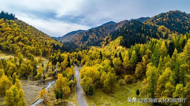 秋色漫卷海东，一场山水林间的浪漫叙事