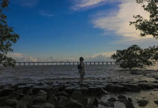 前海看海黄金季来啦，不出发真的会后悔！