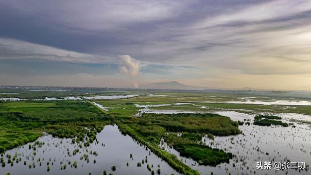 被雨水“埋葬”的超级机场，如今成了世界级湿地公园