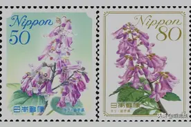 邮记大自然：泡桐，如疏雨梧桐、如绚烂樱花图片