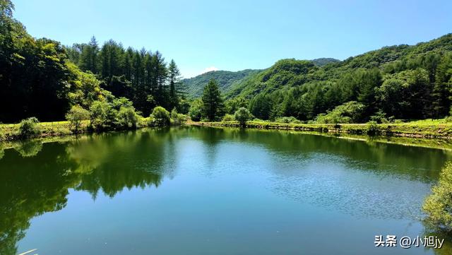两次本溪南岭徒步记｜高山草甸，湖池松林，我被南岭种草