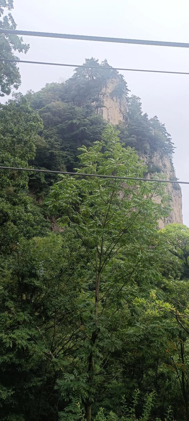 王顺山观景台风光
