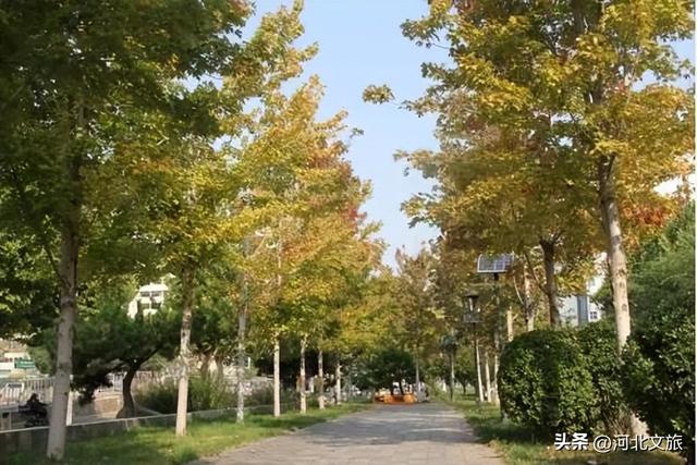 别错过！石家庄市城区赏秋最全指南，来啦→