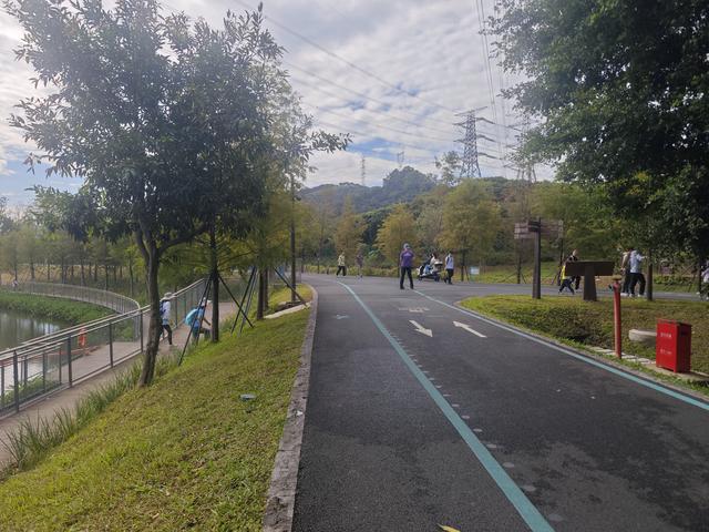 环西丽湖绿道骑行慢行随拍-动个好奇心