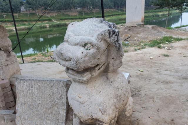 河北旅游推荐 衡水桃城春色：金黄花海与千年古塔下的味觉乡愁