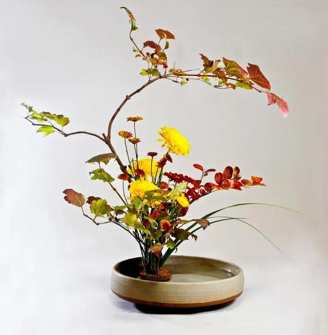 30个名师菊花插花作品，带你赏尽秋日好风景