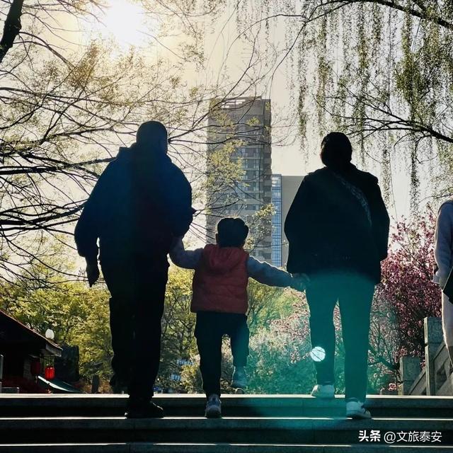 暑假进入“崩溃期”，泰安这几个地方硬控孩子一整天，还能学东西！