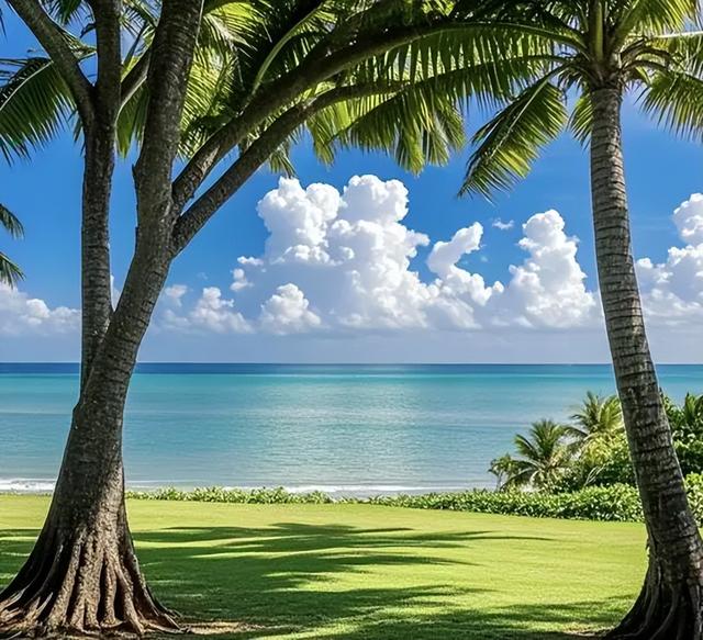 海南环岛自驾终极攻略｜12天一路向南，私藏玩法+避坑指南全揭秘