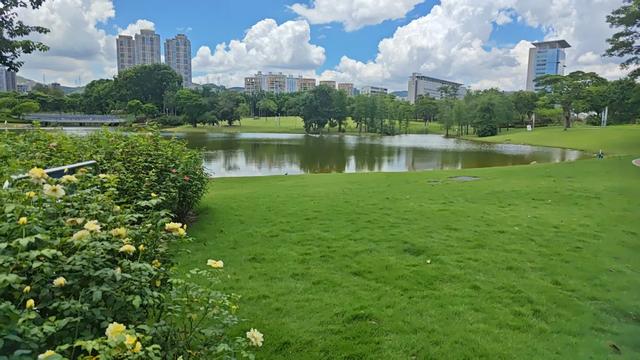 深圳，全国空气质量最好的特超大城市，从天空到地面都是风景