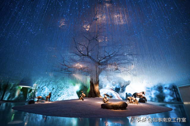 全球市长到南京，点灯