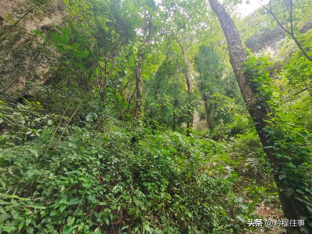 寻找一个空中阁楼躲匪洞堡，一栋150多年历史的深宅大院