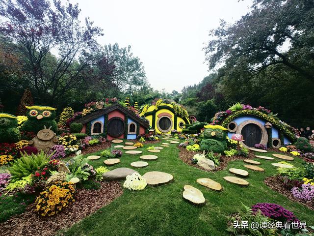 杭州植物园的菊花展——一场关于菊花的饕餮盛宴（二）