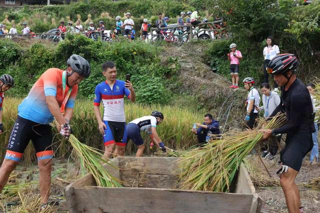 秋日限定 来麻江邂逅花海盛宴