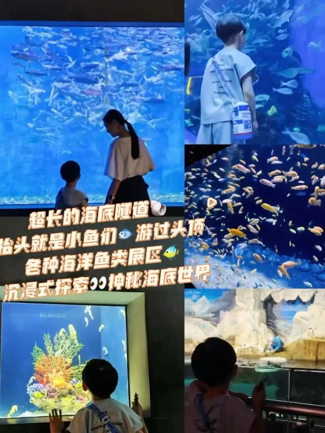 亲子游攻略！双流7个实测好去处，好玩又出片！