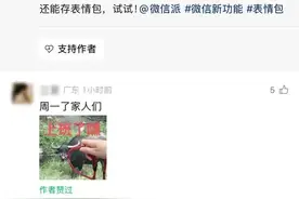 微信官宣新功能上线，视频号评论区可发表情包图片