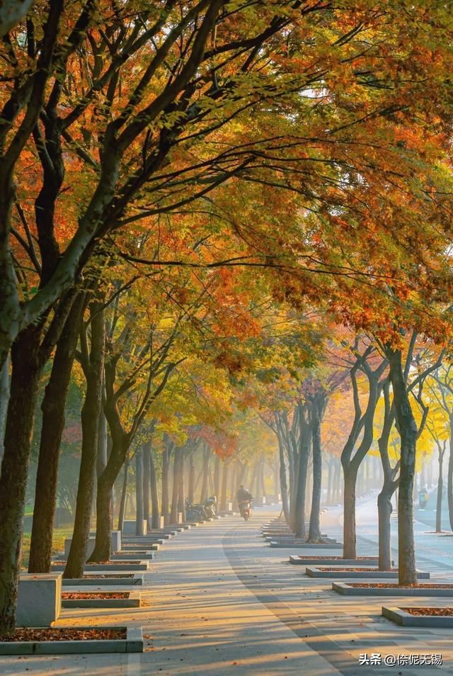 拥堵预警！这周末大家都去......