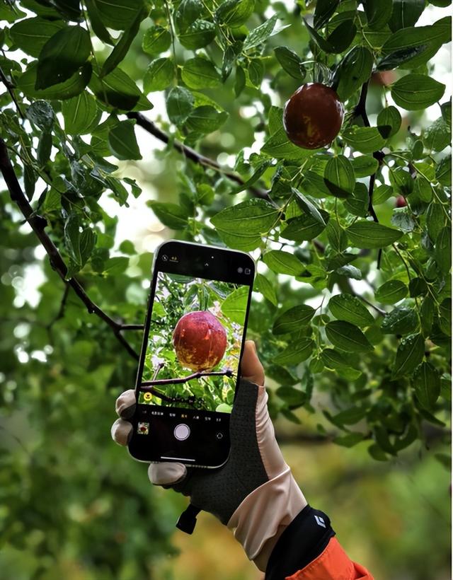 驴行信记：再攀“磨山顶”