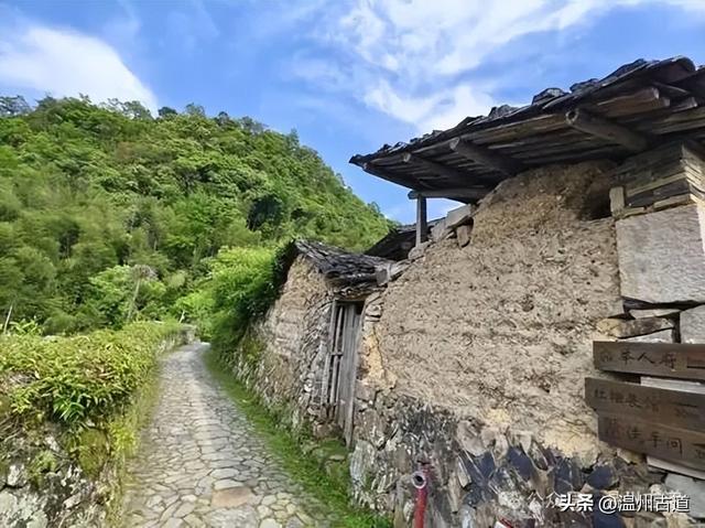 古道古宅藏尽浙南乡土烟火诗意，温州这个小众古村等你来打卡！