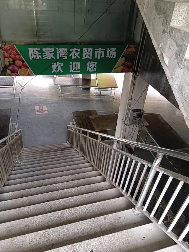 苏马荡避暑一月,和其他人不一样的感受