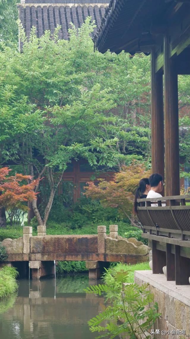 我等得花儿都...开了