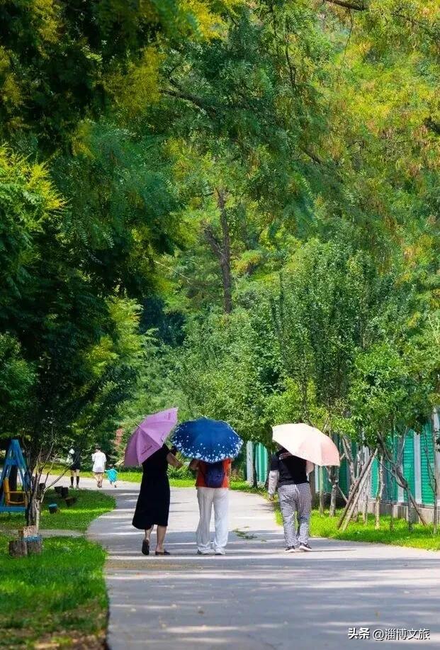 正月初五至正月十五，淄博一景区免门票！