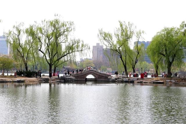 北京玉渊潭公园 樱花漫舞的诗意秘境