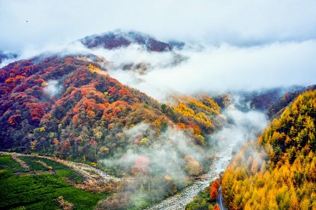 断航不扫秋兴！5个国内"熟透秋景"平替日本，规模颜值双碾压！