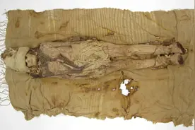 3600年前的混血西域干尸，竟是最早“芝士青年”图片