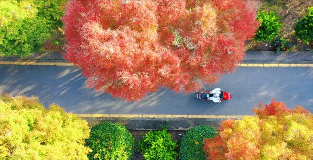 余庆的初冬,就藏在这些地方!