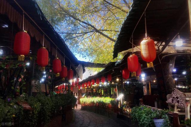 堪称云南最大的野生菌美食街，一年只卖一月，有全国人专程来吃