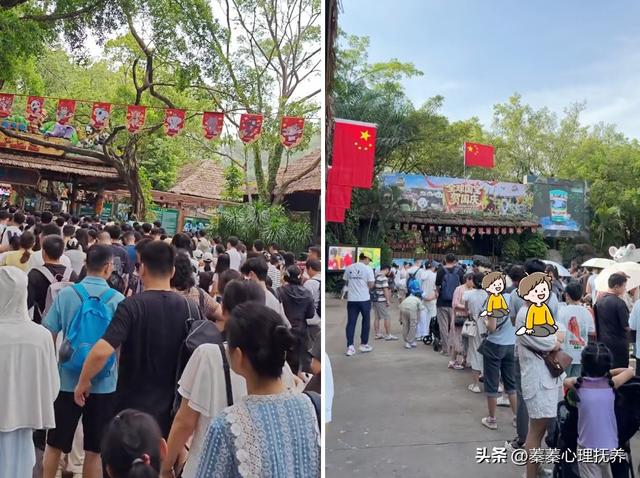 国庆带娃旅行5天，花掉3个月工资，到底值不值？