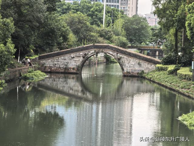 木槿花开时 再探常州万福桥