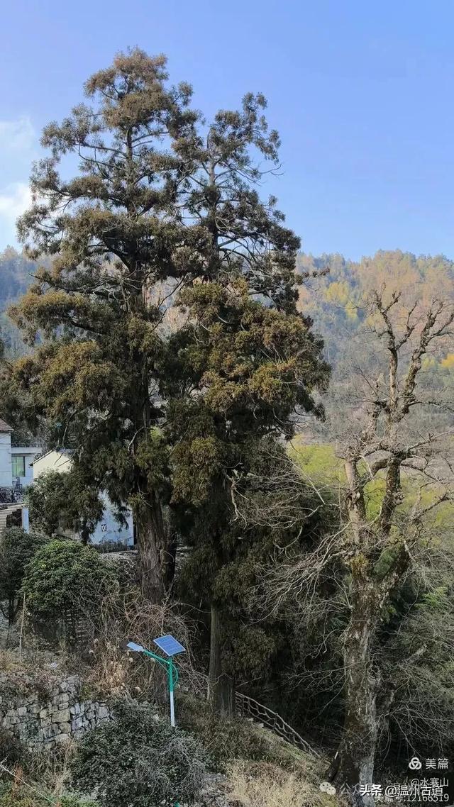 别名叫“凉村”,常年云雾缭绕!