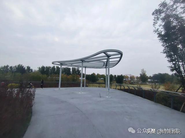 乘上地铁10号线到灞渭桥湿地公园，大片粉黛乱子草等着你打卡！