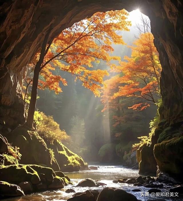 秋之雅趣，美不可言