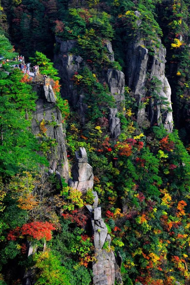 只知道天都峰？黄山资深玩家都在挑战这里