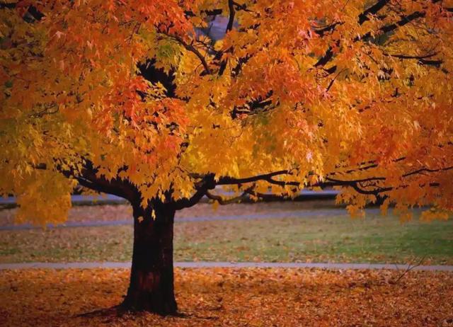 中年两性关系惊现“神秘信号”，你捕捉到了吗？