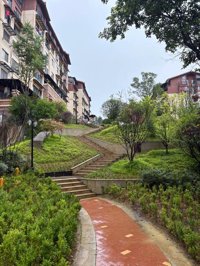 百里杜鹃雨中的回想