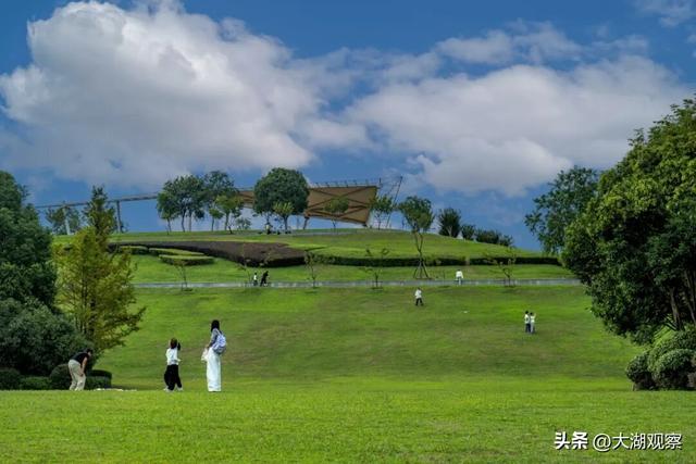 乘地铁，邂逅合肥最美秋色！