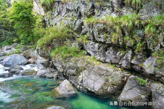 牯牛降的夏天