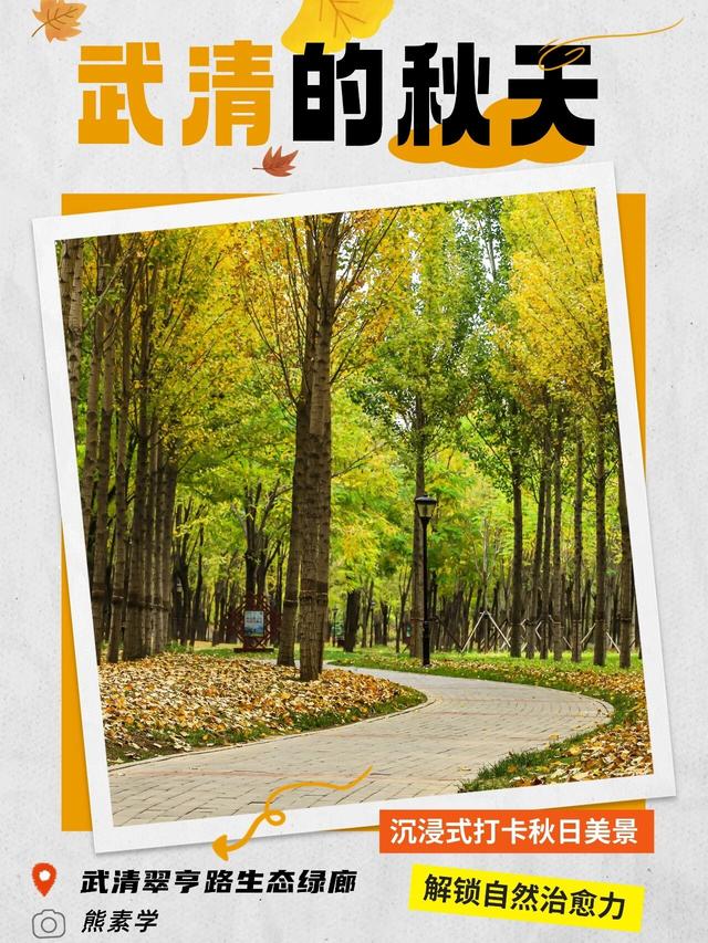 嗨，你的秋天留住了吗？