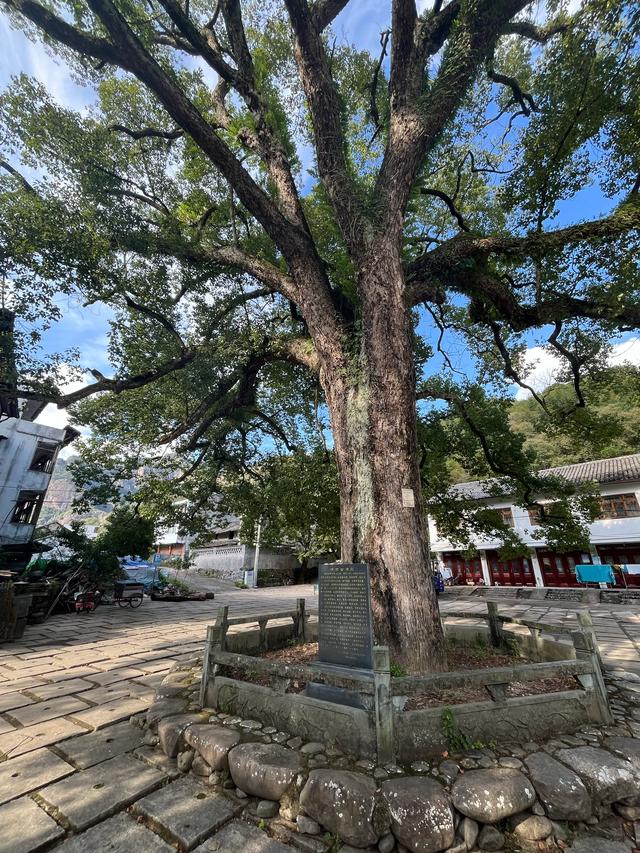 退休夫妻自驾温州永康之苍坡古镇、石桅岩、芙蓉古镇、丽水街