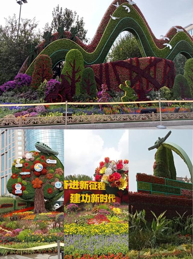 长安街巨型纪念花坛太美了‼️拍照打卡攻略请收好