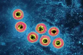 生殖器疱疹初期症状是什么？怎么判断是不是生殖器疱疹？图片